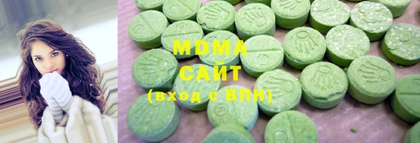 хмурый Алексин