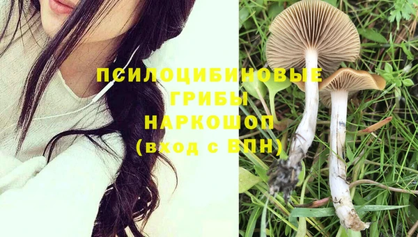 каннабис Алексеевка