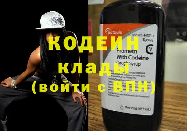 индика Дегтярск