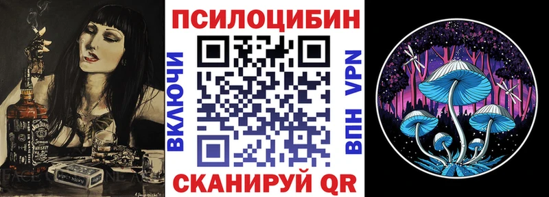 Галлюциногенные грибы Psilocybe где найти наркотики Железноводск